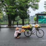 pexels-quang-nguyen-vinh-222549-2132405 Hanoi: The Ultimate Travel Guide to Vietnam’s Soulful and Historic Capital