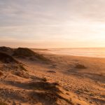 pexels-snapwire-7545 Cabo Polonio is a wild corner on the Atlantic coast of Uruguay