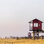 pexels-wsilvasjb-11329217 Cabo Polonio is a wild corner on the Atlantic coast of Uruguay